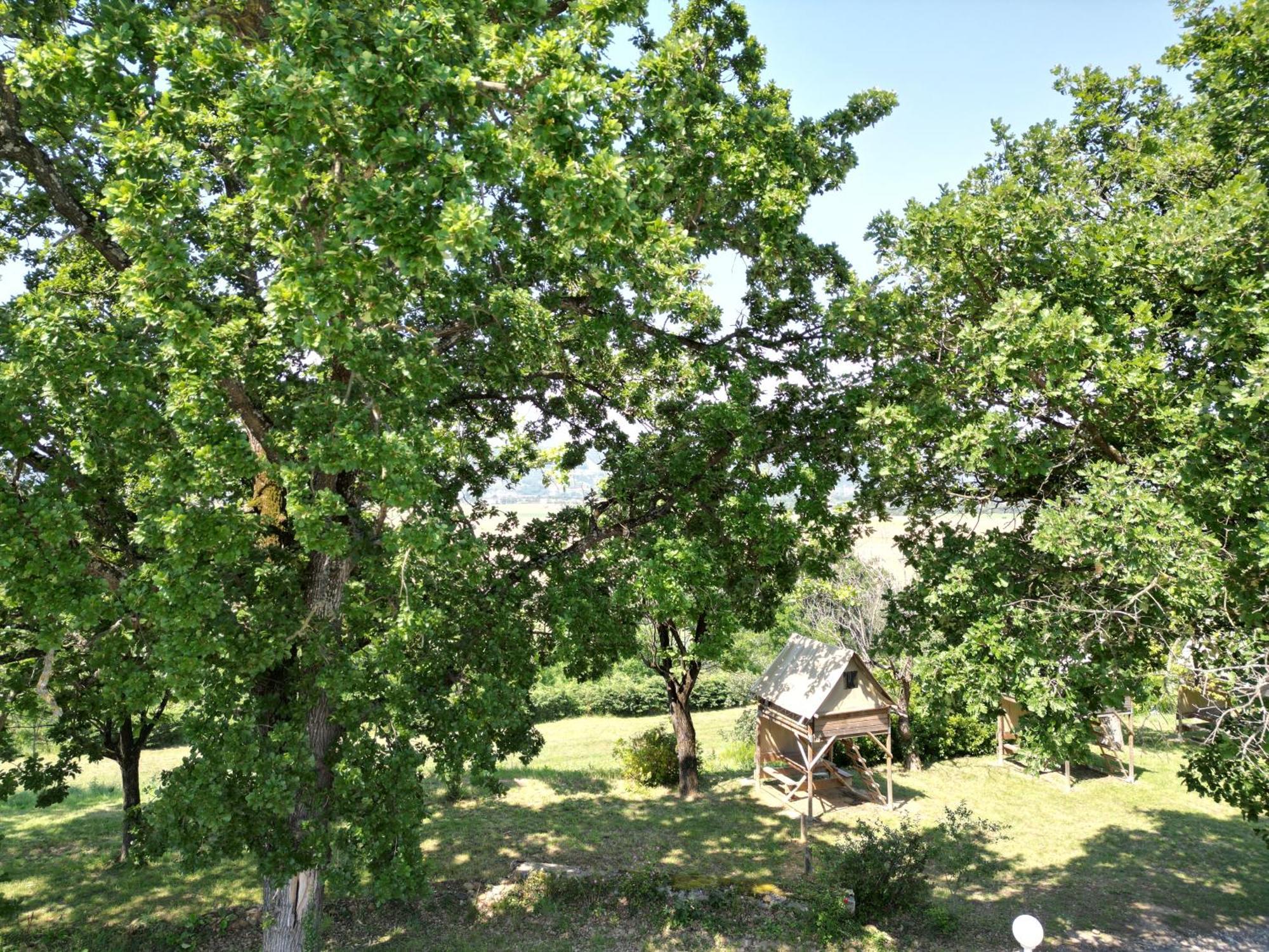 Camping Domaine De Senaud Albon Exterior foto